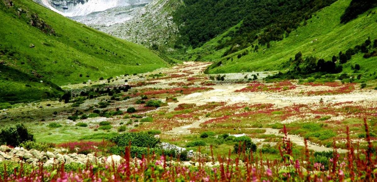 valley-of-flowers-hemkund-sahib-and-badrinath 