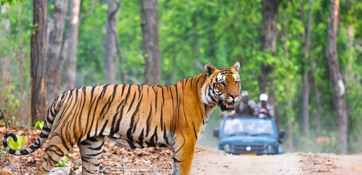 wildlife-in-uttarakhand
